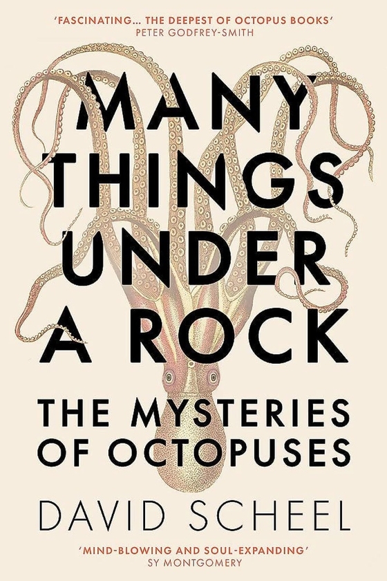 Бумажная книга «Many Things Under a Rock: The Mysteries of Octopuses», автор Дэвид Шил - фото №1