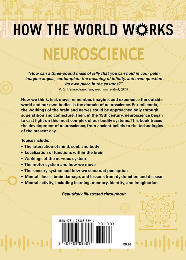 [object Object] «How the World Works: Neuroscience : Unlocking the mysteries of the brain and consciousness», автор Енн Руні - фото №2 - мініатюра