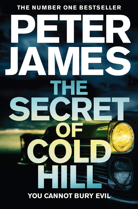 Паперова книга «The Secret of Cold Hill», автор Пітер Джеймс - фото №1