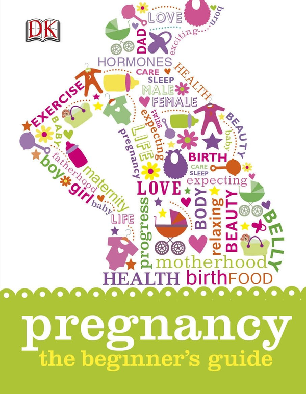 Бумажная книга «Pregnancy the Beginner's Guide» - фото №1