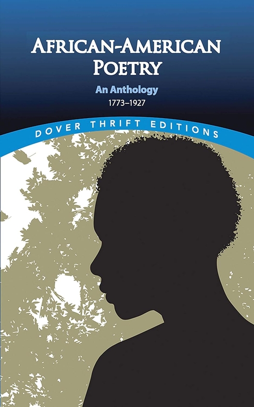 Паперова книга «African-American Poetry: An Anthology, 1773-1927», автор Джоан Р. Шерман - фото №1