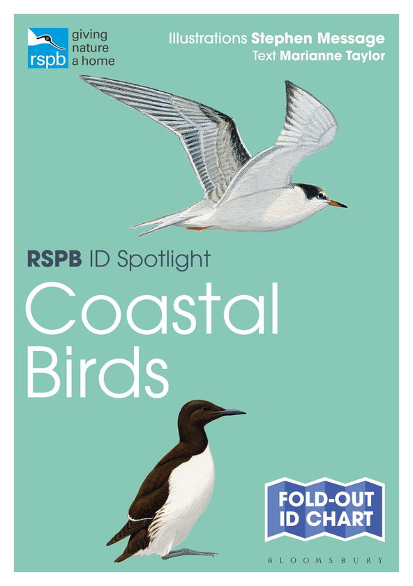 Бумажная книга «RSPB ID Spotlight. Coastal Birds», автор Марианна Тейлор - фото №1
