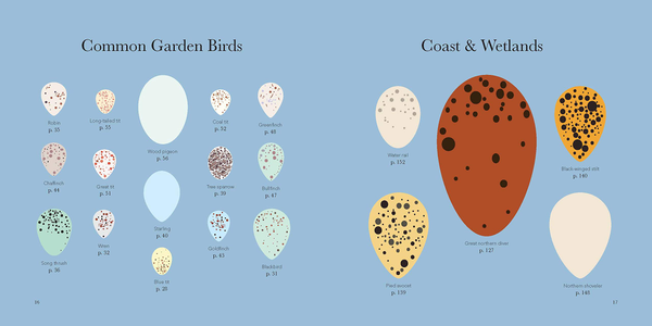 Паперова книга «I Like Birds: A Guide to Britain's Avian Wildlife », автор Стюарт Кокс - фото №1