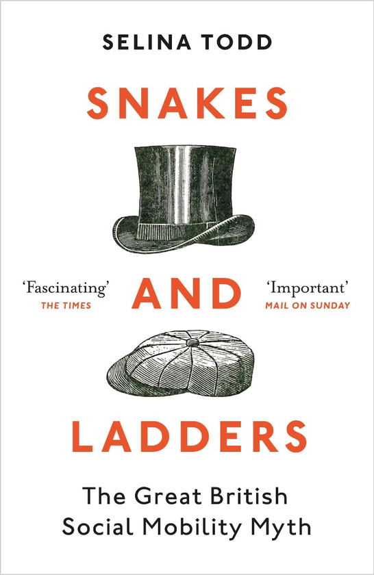 Бумажная книга «Snakes and Ladders», автор Селина Тодд - фото №1