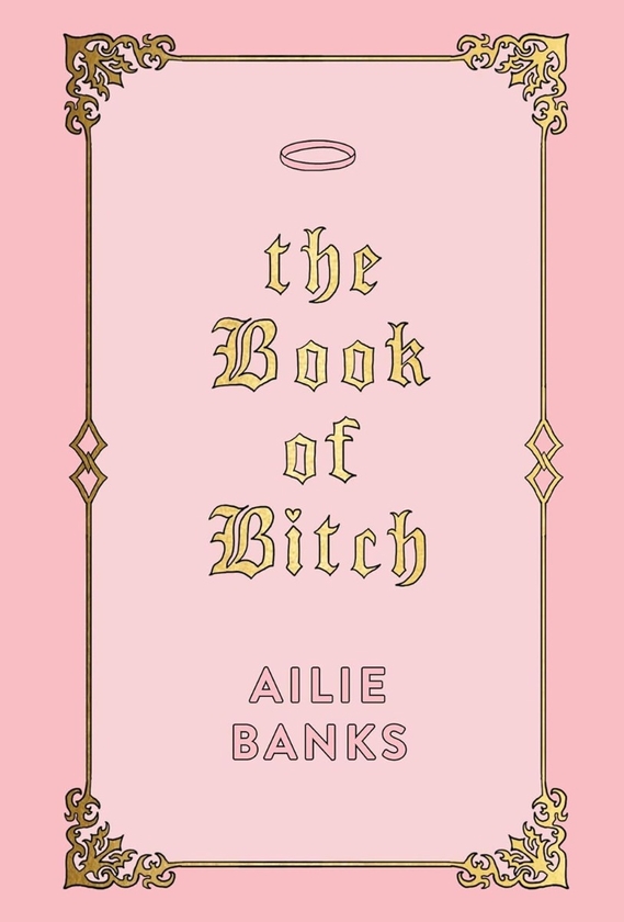 Бумажная книга «The Book of Bitch», автор Эйли Бэнкс - фото №1