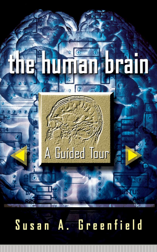 Паперова книга «The Human Brain: A Guided Tour», автор Сьюзан Грінфілд - фото №1