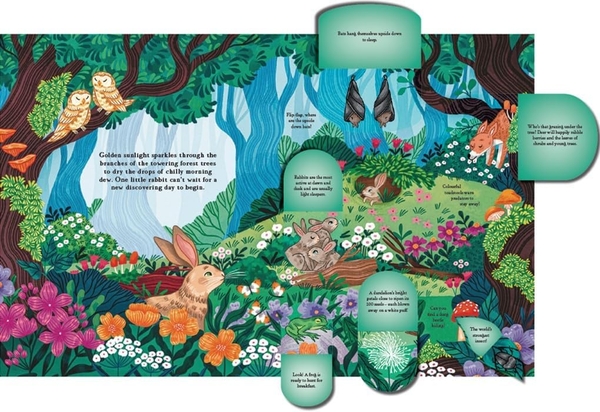 [object Object] «Hide and Find in the Forest: A Lift-the-Flap Woodland Adventure» - фото №3 - миниатюра