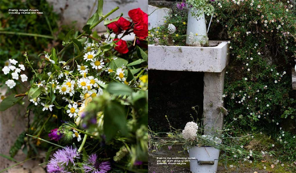 Бумажная книга «Field, Flower, Vase: Arranging and Crafting with Seasonal and Wild Blooms», автор Челси Фусс - фото №1