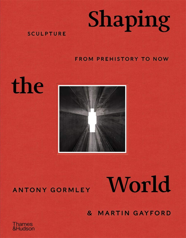 Бумажная книга «Shaping the World», авторов Мартин Гейфорд, Энтони Гормли - фото №1
