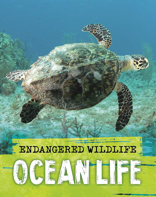 Бумажная книга «Ocean Life», автор Анита Ганери - фото №1