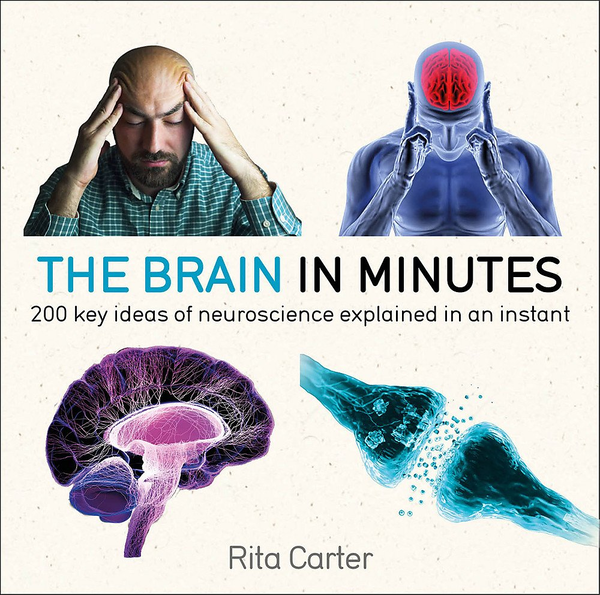 Бумажная книга «The Brain in Minutes», автор Рита Картер - фото №1
