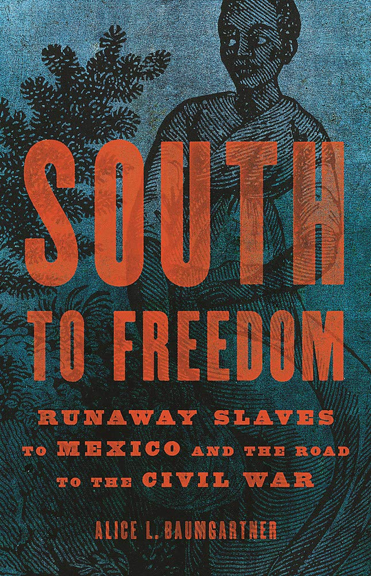 Бумажная книга «South to Freedom. Runaway Slaves to Mexico and the Road to the Civil War», автор Элис Баумгартнер - фото №1