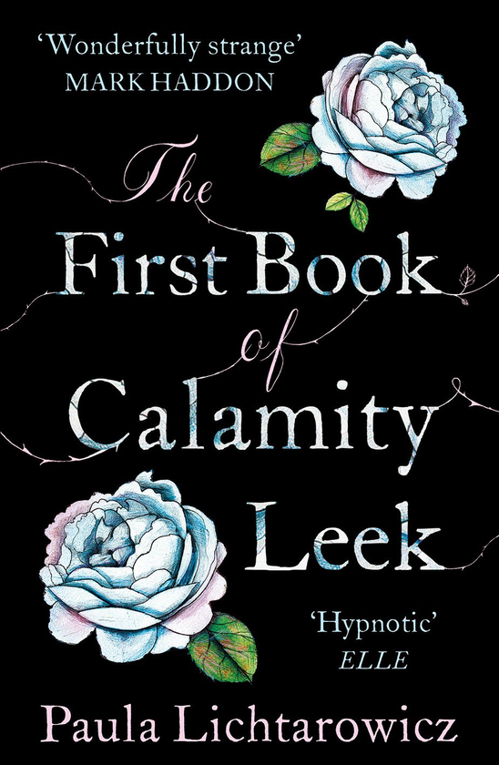 Бумажная книга «The First Book of Calamity Leek», автор Паула Лихтарович - фото №1
