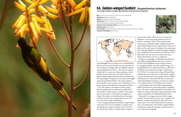 Бумажная книга «100 Birds to See in Your Lifetime: The Ultimate Wish-list for Birders Everywhere», автор Дэвид Чандлер - фото №1