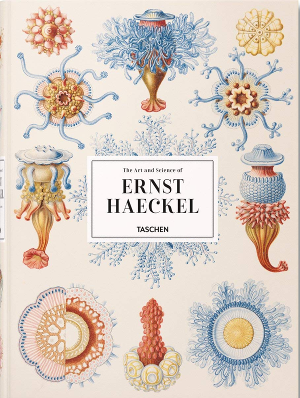 Бумажная книга «The Art and Science of Ernst Haeckel», авторов Райнер Вилльманн, Джулия Восс - фото №1