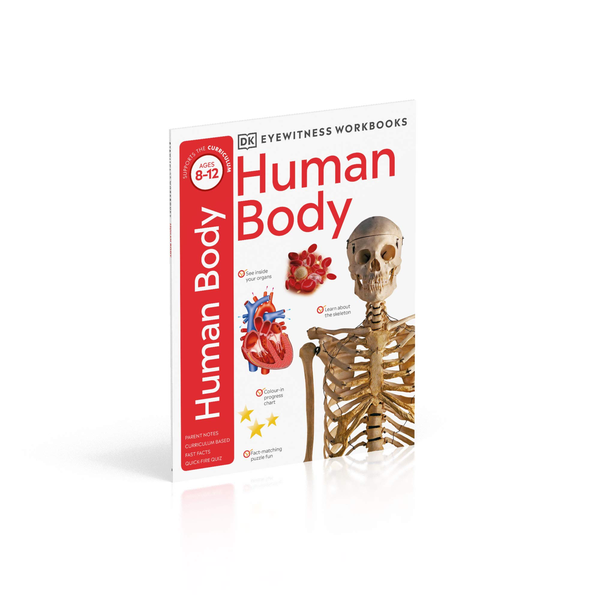 Бумажная книга «Human Body Workbook» - фото №1