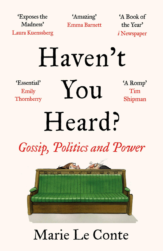 Паперова книга «Haven't You Heard? Gossip, Politics and Power», автор Марі ле Конте - фото №1