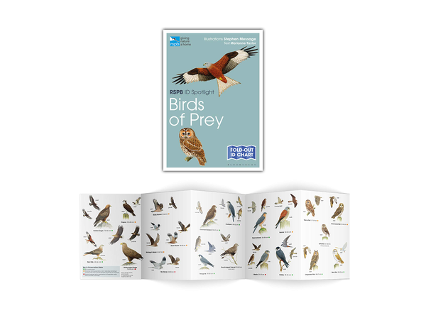 Бумажная книга «RSPB ID Spotlight. British Birds of Prey», автор Марианна Тейлор - фото №1