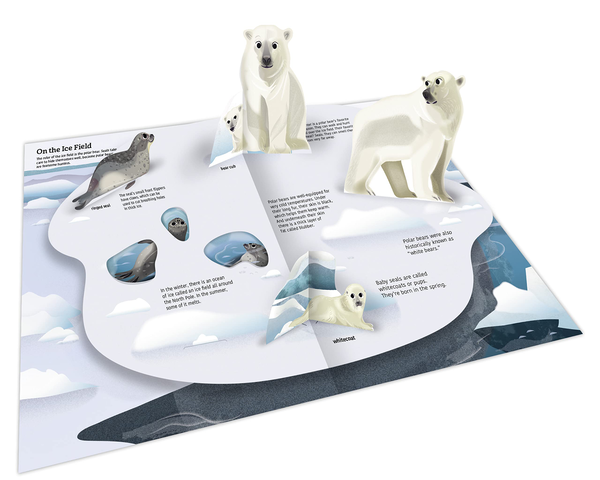 Бумажная книга «Polar Animals», автор Сандра Лабукари - фото №1