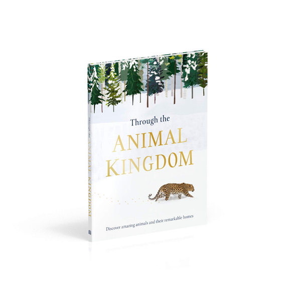 Паперова книга «Through the Animal Kingdom. Discover Amazing Animals and Their Remarkable Homes», автор Дерек Гарві - фото №1