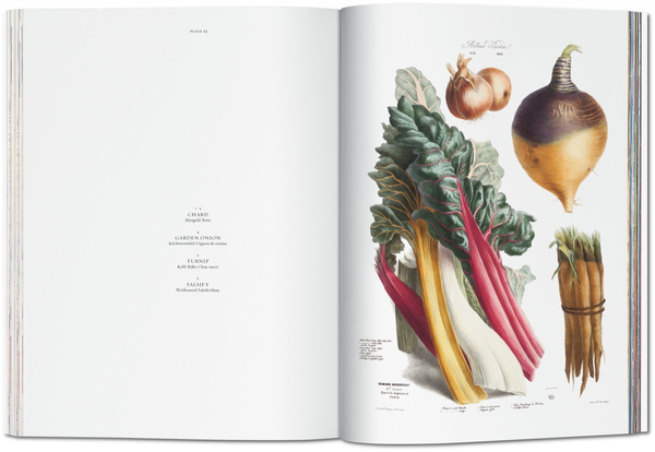 Бумажная книга «Vilmorin, Vegetable Garden» - фото №1