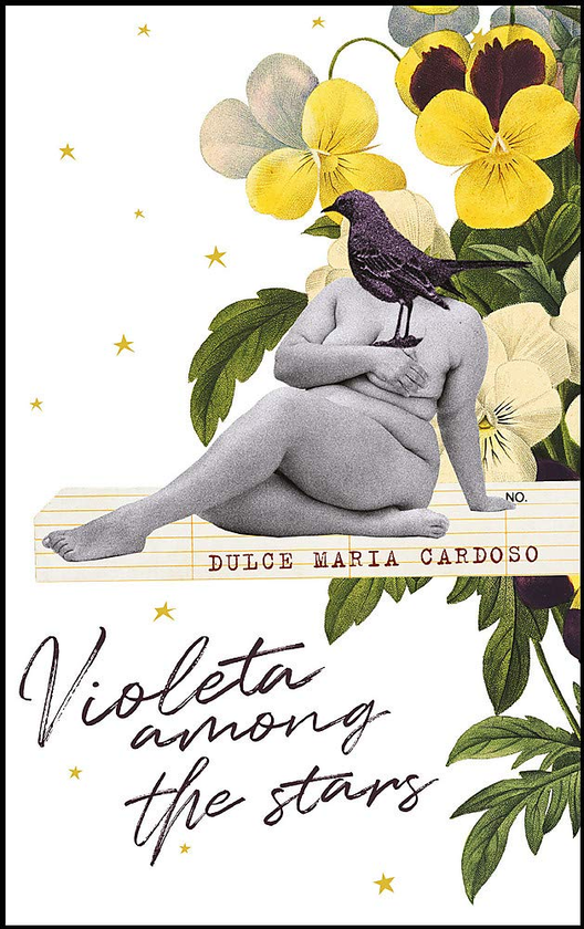 Паперова книга «Violeta among the Stars», автор Дулсе Марія Кардозо - фото №1
