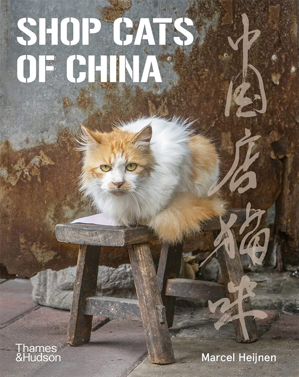 Бумажная книга «Shop Cats of China», автор Марсель Хейнен - фото №1