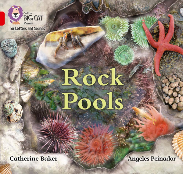 Бумажная книга «Rock Pools: Band 02b/Red B» - фото №1
