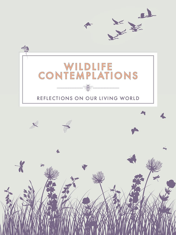 Бумажная книга «Wildlife Contemplations: Reflections on Our Living World» - фото №1