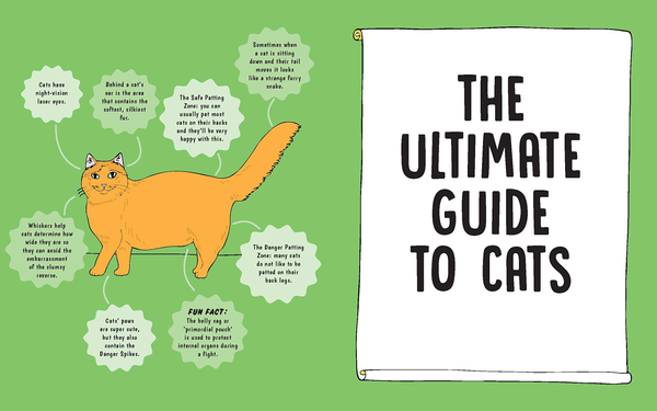 Паперова книга «I Touched a Cat and I Liked it», автор Анна Бландфорд - фото №1