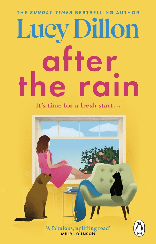 Паперова книга «After the Rain», автор Люсі Діллон - фото №1