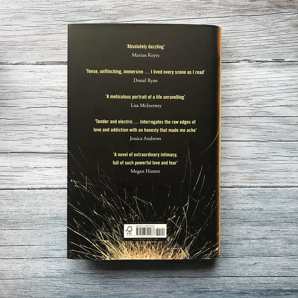 Паперова книга «Bright Burning Things», автор Ліза Хардінг - фото №1