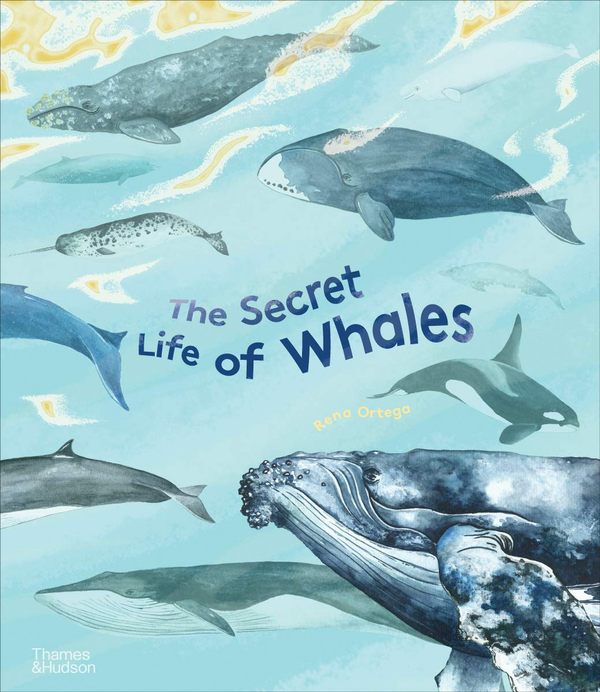 Паперова книга «The Secret Life of Whales», автор Рена Ортега - фото №1