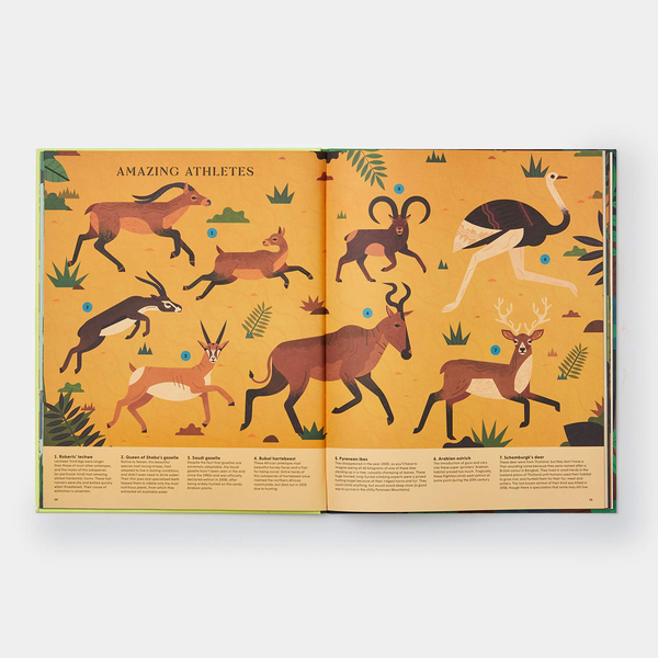 Бумажная книга «Extinct. An Illustrated Exploration of Animals That Have Disappeared», автор Лукас Риера - фото №1