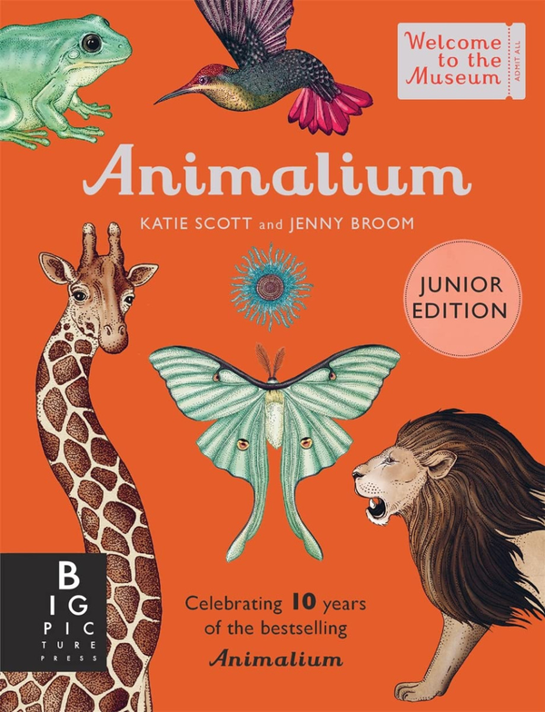 Бумажная книга «Animalium (Junior Edition)», автор Дженни Брум - фото №1
