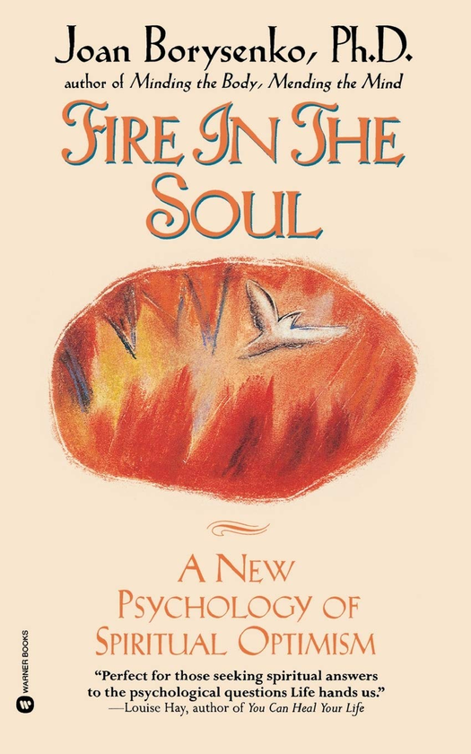 Бумажная книга «Fire in the Soul. A New Psychology of Spiritual Optimism», автор Джоан Борисенко - фото №1
