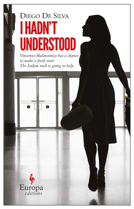 Паперова книга «I Hadn't Understood», автор Дієго Де Сільва - фото №1
