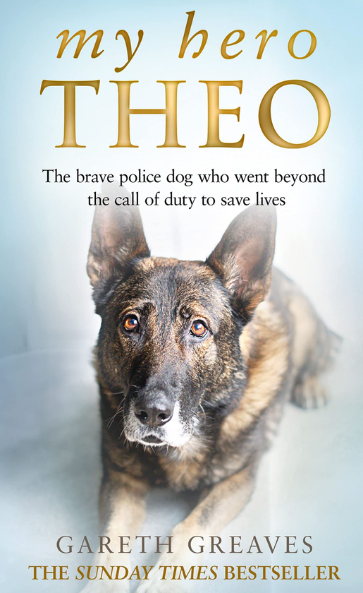 Бумажная книга «My Hero Theo», автор Гарет Гривз - фото №1