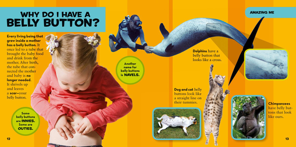 Паперова книга «Little Kids First Big Book of Why», автор Емі Шилдс - фото №1