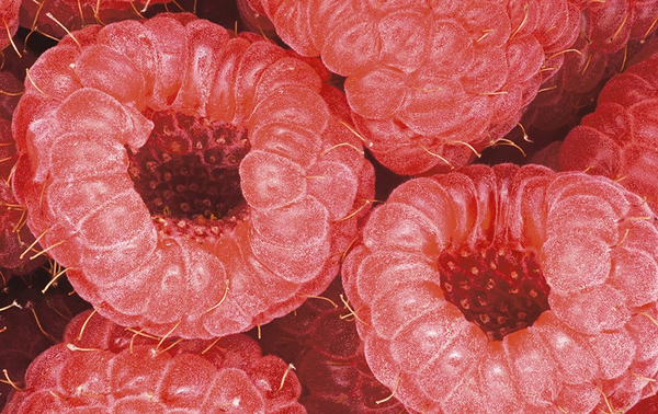Бумажная книга «Photography of Modernist Cuisine», автор Натан Мирволд - фото №1