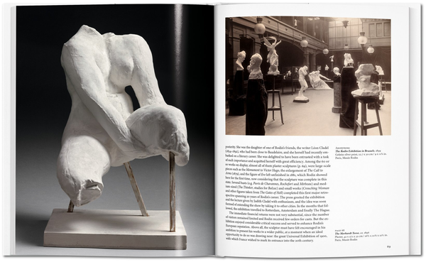 Бумажная книга «Rodin» - фото №1