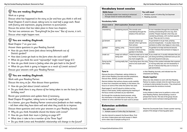 Паперова книга «Guided Reading Handbook Diamond to Pearl: Complete Teaching and Assessment Support» - фото №1