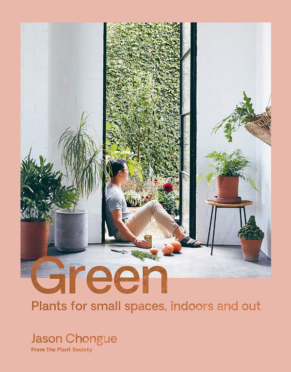 Бумажная книга «Green : Plants for small spaces, indoors and out» - фото №1