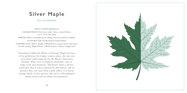 Бумажная книга «The Little Guide to Leaves» - фото №1