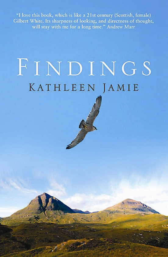 Бумажная книга «Findings», автор Кэтлин Джейми - фото №1
