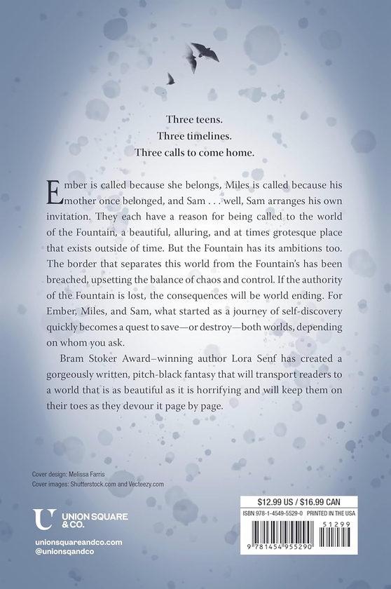 Бумажная книга «The Losting Fountain», автор Лора Сенф - фото №1