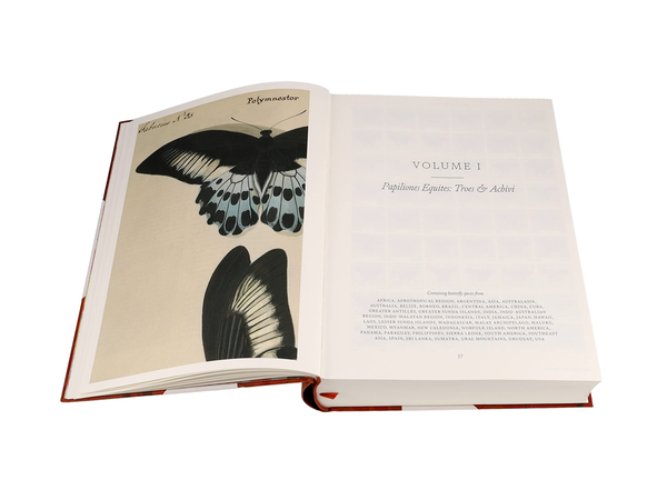 Паперова книга «Iconotypes» - фото №1