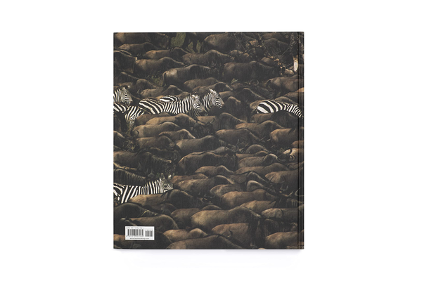 Бумажная книга «Into the Wild. The Story of the World's Greatest Wildlife Photography», автор Джемма Пэдли - фото №1