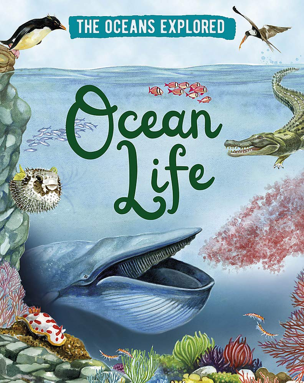 Паперова книга «Ocean Life», автор Пол Рокетт - фото №1