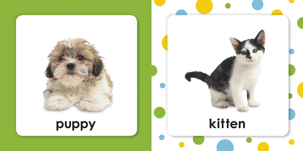 Бумажная книга «Squeaky Baby Bath Book. Baby Animals» - фото №1